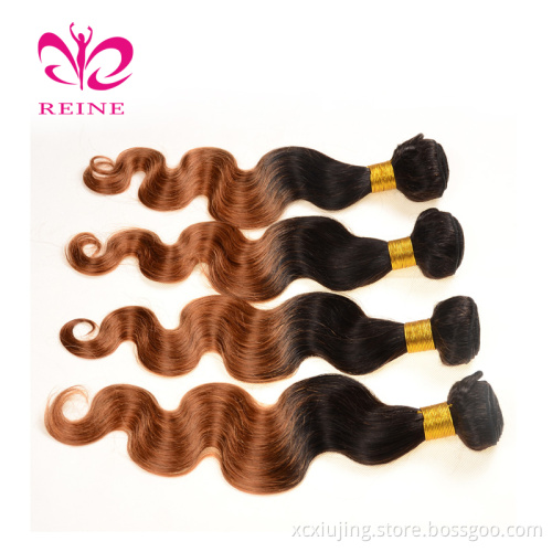 9A Brazilian Virgin Hair Body Wave Bundles REINE Two Tone Ombre Human Hair 1b 30 Color